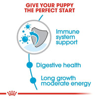 Royal Canin Maxi Puppy Dry Dog Food - Zigly