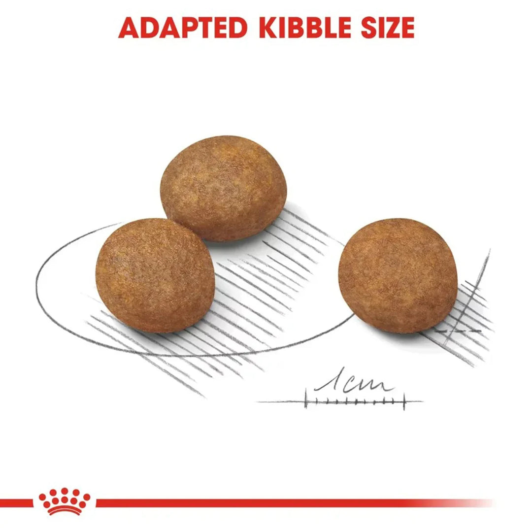 Royal Canin Maxi Puppy Dry Dog Food - Zigly