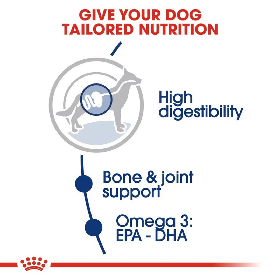Royal Canin Maxi Adult Dry Dog Food - Zigly