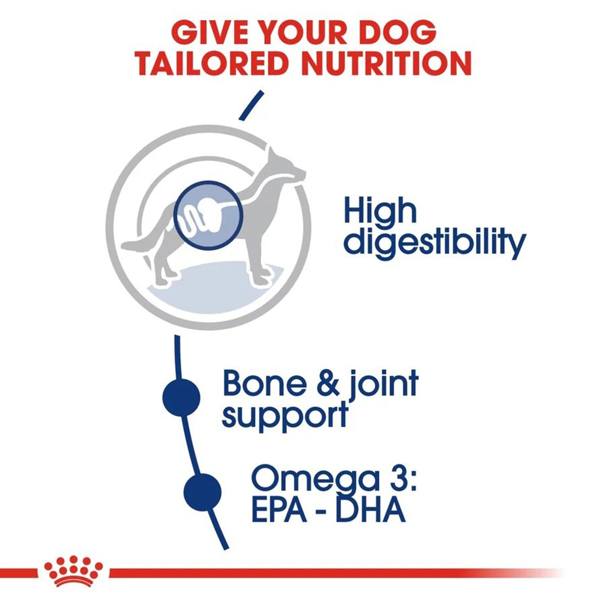 Royal Canin Maxi Adult Dry Dog Food - Zigly
