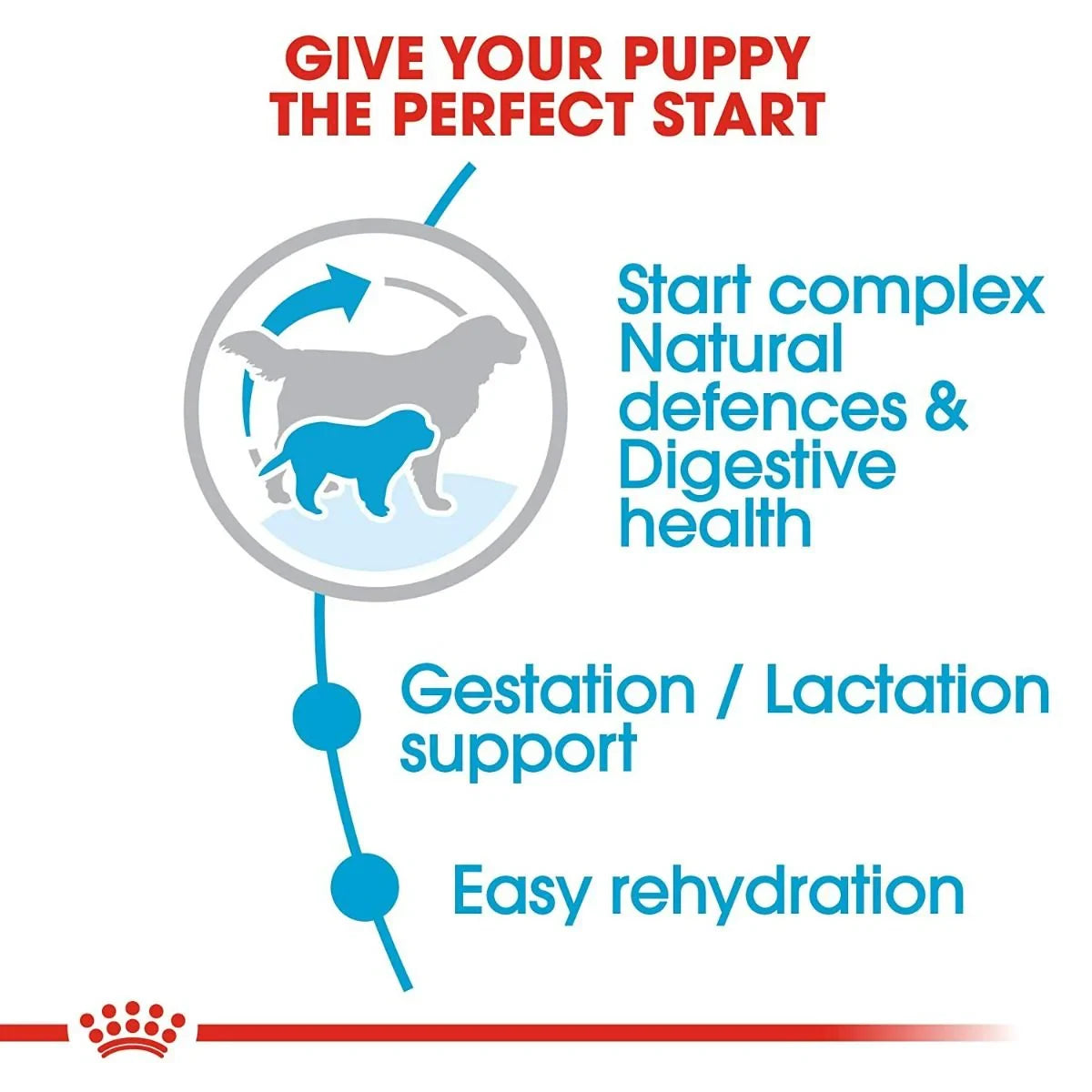 Royal Canin Giant Starter Dry Dog Food - Zigly