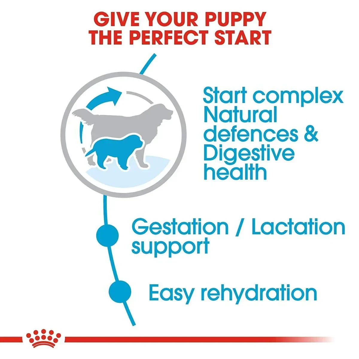 Royal Canin Giant Starter Dry Dog Food - Zigly