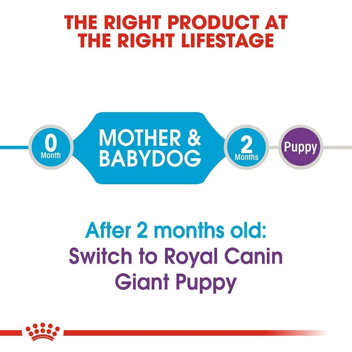 Royal Canin Giant Starter Dry Dog Food - Zigly