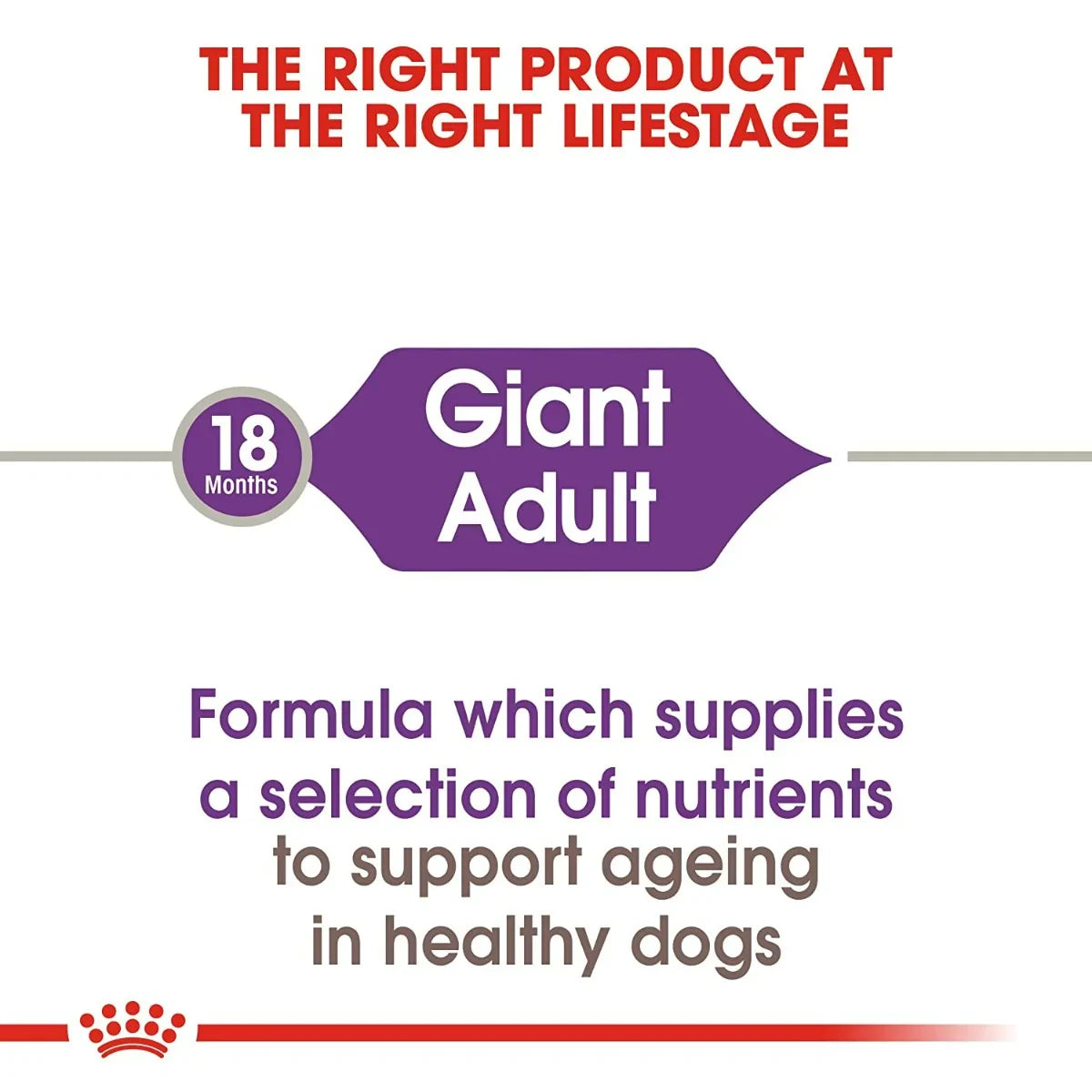 Royal Canin Giant Adult Dry Dog Food - Zigly