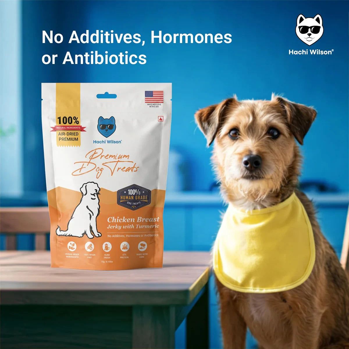 Hachi Wilson Chicken Breast Jerky with Turmeric Premium Dog Treat - 70g - Zigly