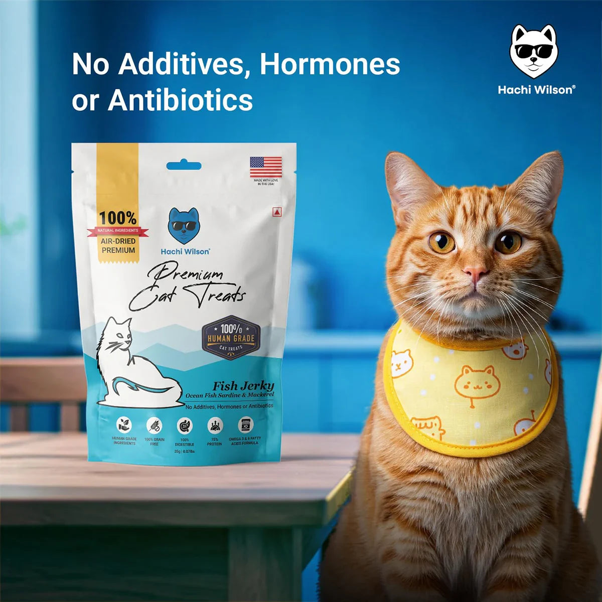 Hachi Wilson Ocean Fish Sardine & Mackerel Cat Treat - 35g - Zigly