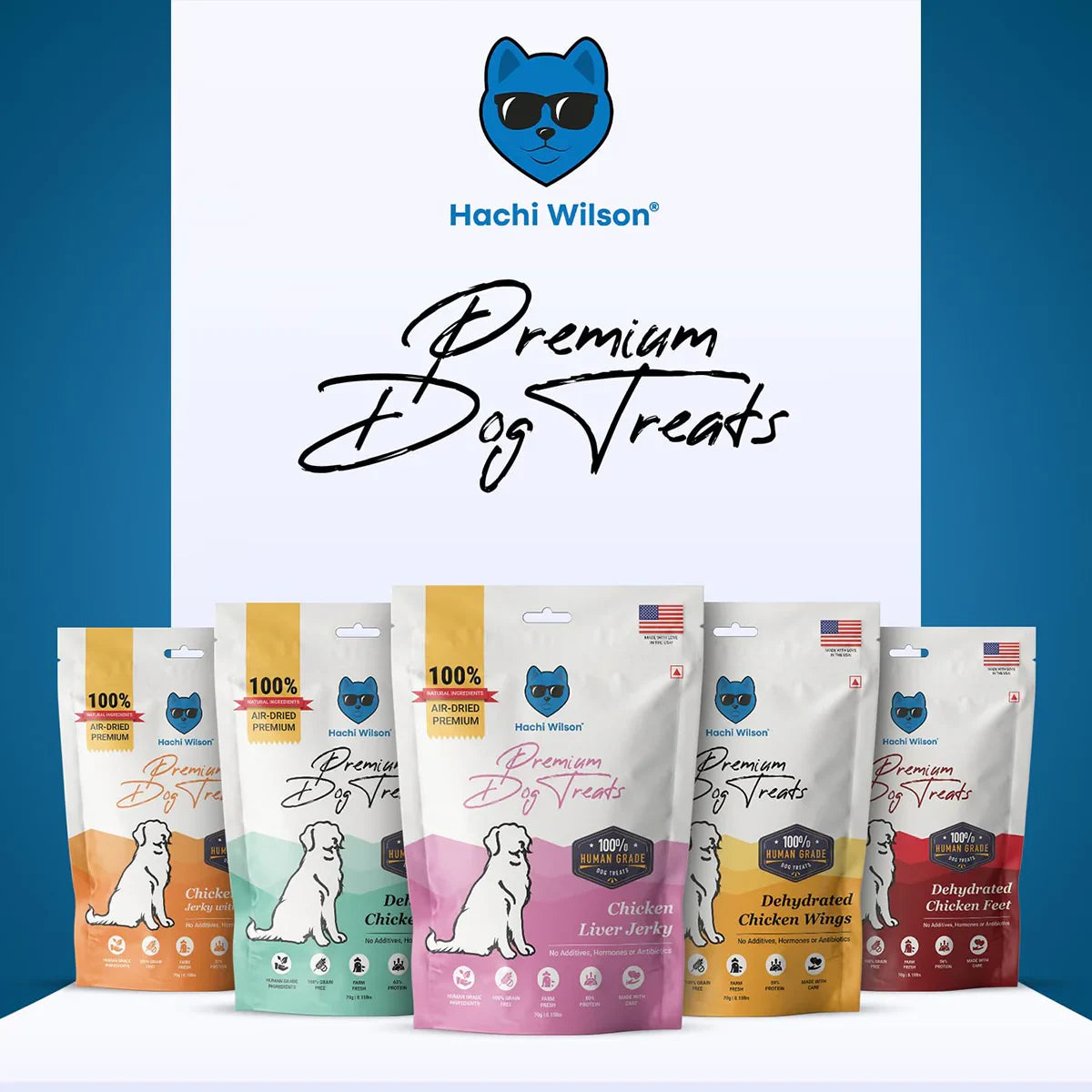 Hachi Wilson Ocean Fish Sardine & Mackerel Cat Treat - 35g - Zigly