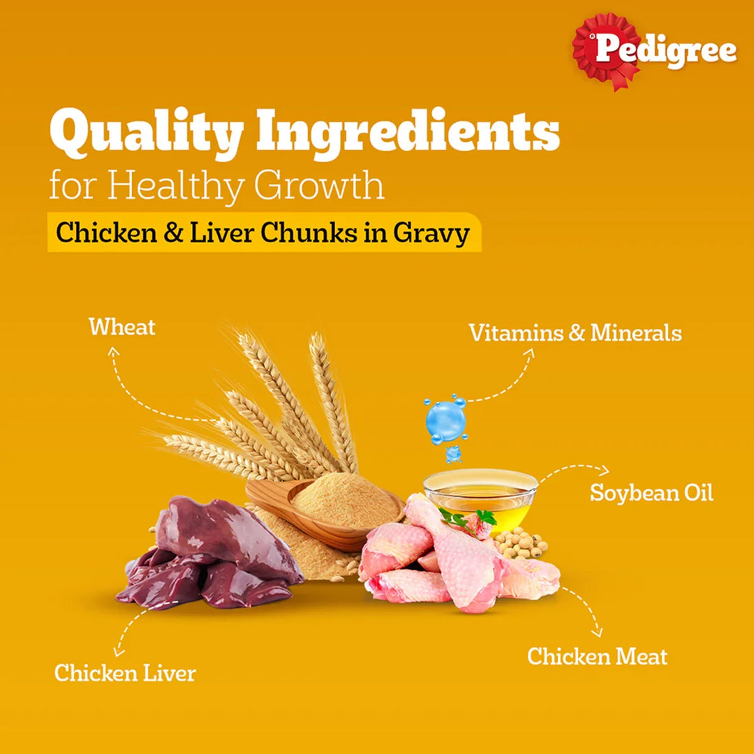 Pedigree Chicken & Liver Chunks in Gravy Wet Dog Food - All Breed Adult - Zigly
