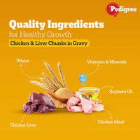 Pedigree Chicken & Liver Chunks in Gravy Wet Dog Food - All Breed Adult - Zigly