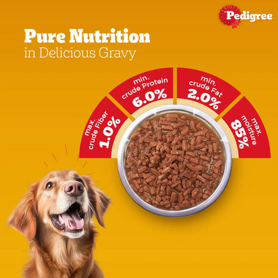 Pedigree Chicken & Liver Chunks in Gravy Wet Dog Food - All Breed Adult - Zigly