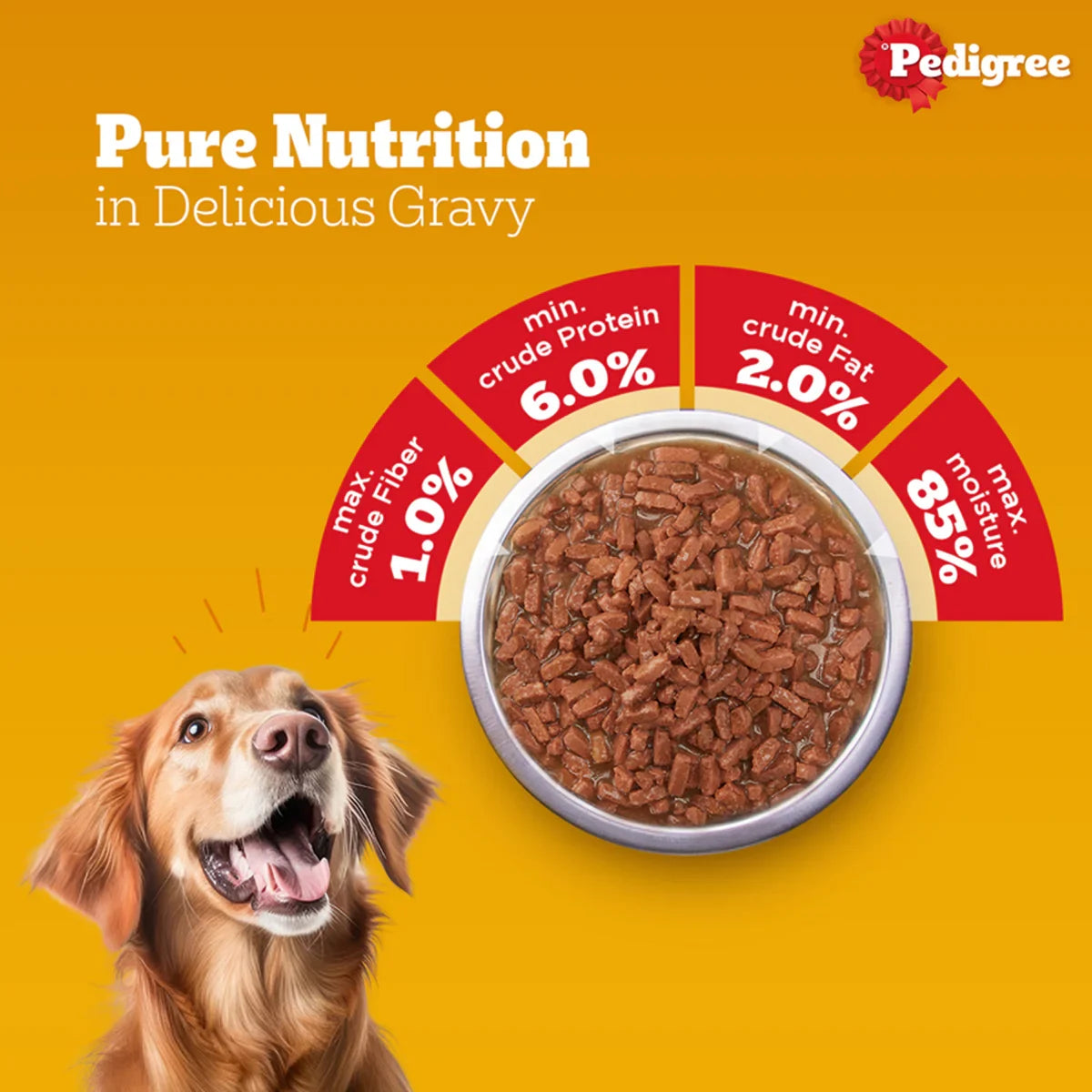 Pedigree Chicken & Liver Chunks in Gravy Wet Dog Food - All Breed Adult - Zigly
