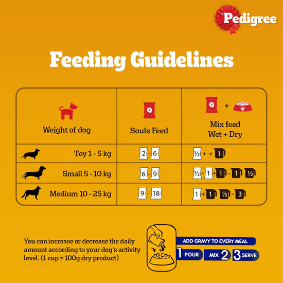 Pedigree Chicken & Liver Chunks in Gravy Wet Dog Food - All Breed Adult - Zigly