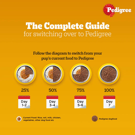 Pedigree Chicken & Liver Chunks in Gravy Wet Dog Food - All Breed Adult - Zigly