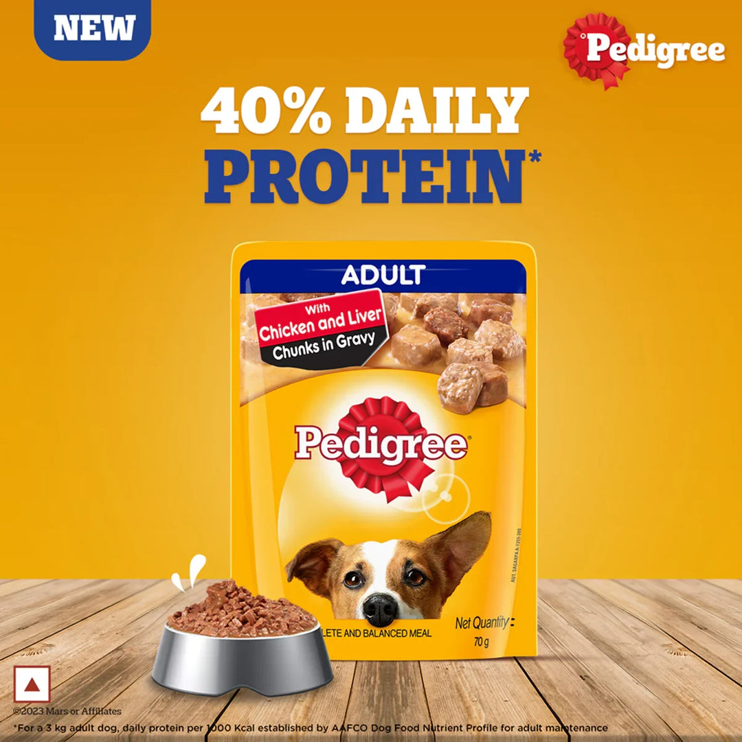 Pedigree Chicken & Liver Chunks in Gravy Wet Dog Food - All Breed Adult - Zigly