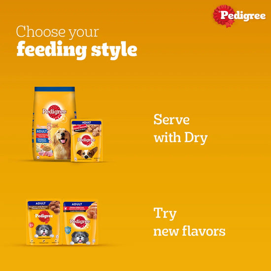 Pedigree Chicken & Liver Chunks in Gravy Wet Dog Food - All Breed Adult - Zigly