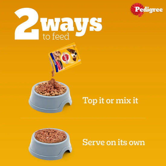 Pedigree Chicken & Liver Chunks in Gravy Wet Dog Food - All Breed Adult - Zigly