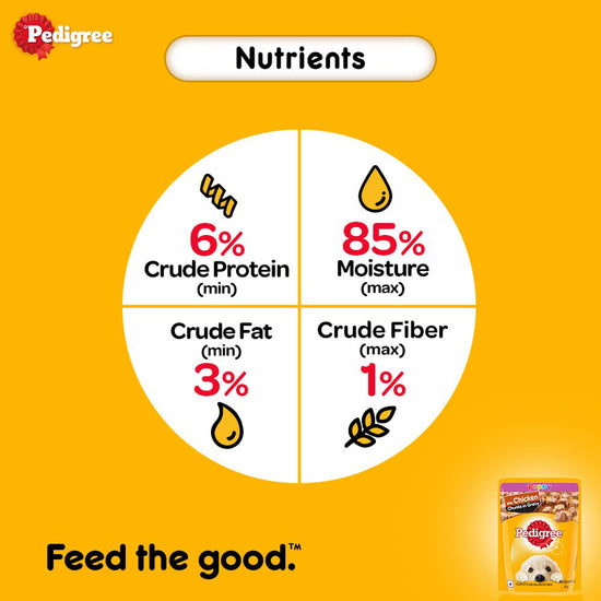 Pedigree Chicken Chunks in Gravy Wet Dog Food - All Breed Puppy - Zigly