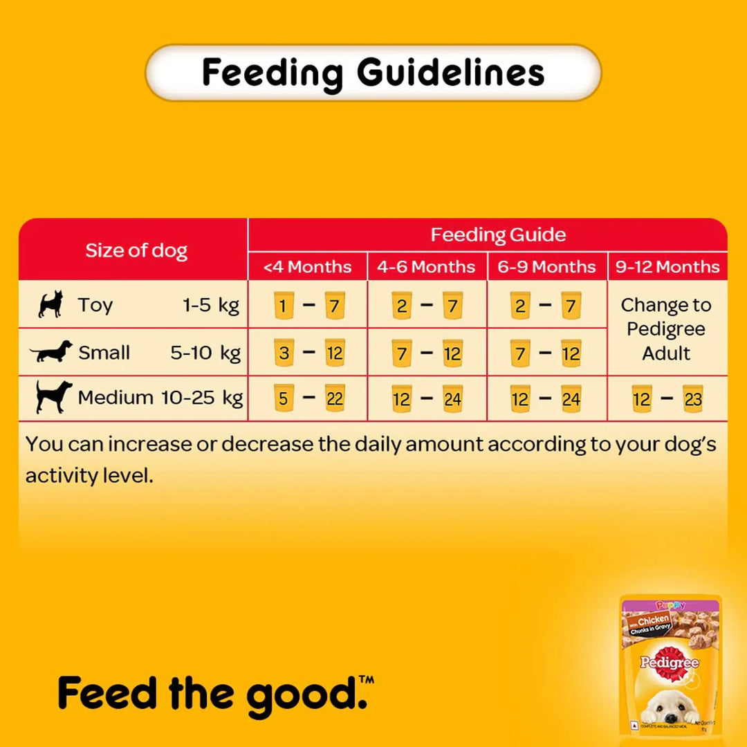 Pedigree Chicken Chunks in Gravy Wet Dog Food - All Breed Puppy - Zigly