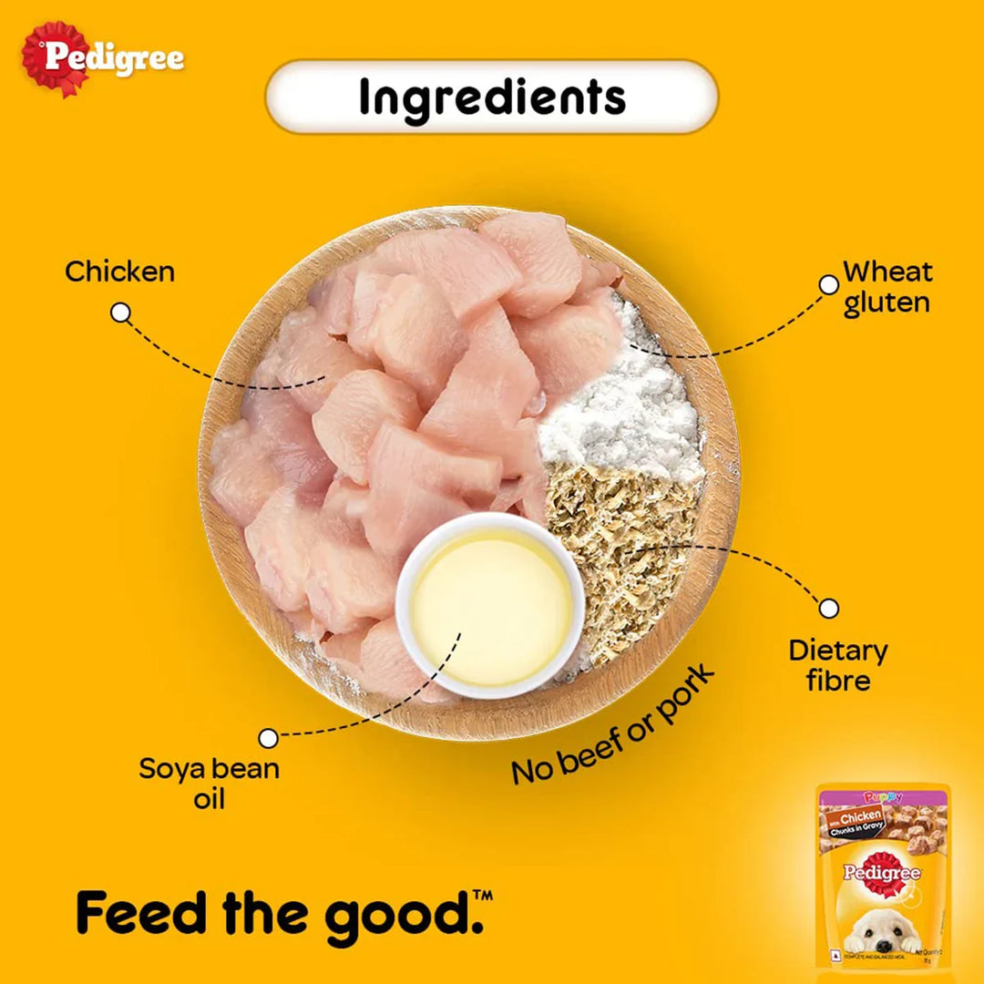 Pedigree Chicken Chunks in Gravy Wet Dog Food - All Breed Puppy - Zigly