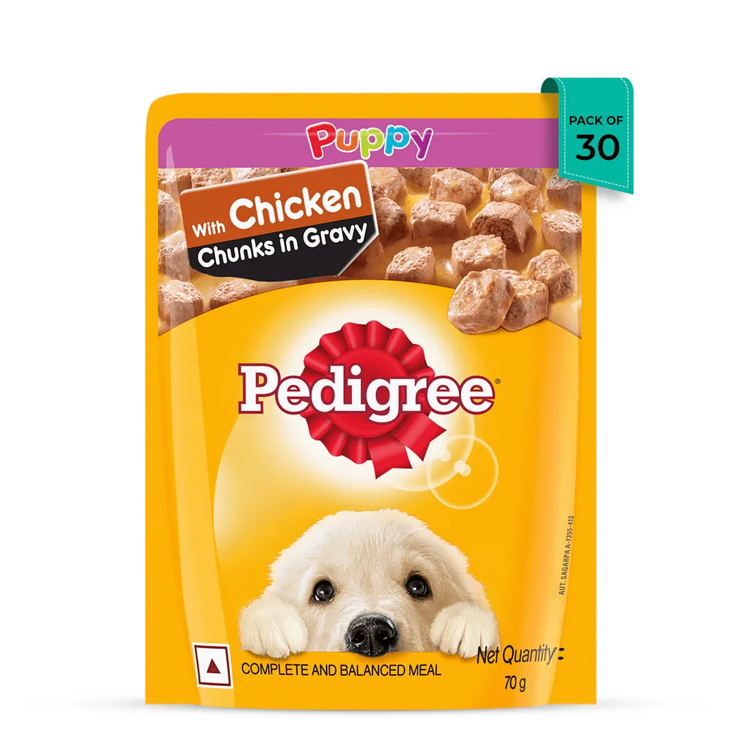 Pedigree Chicken Chunks in Gravy Wet Dog Food - All Breed Puppy - Zigly