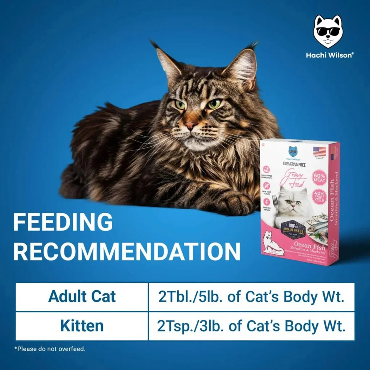 Hachi Wilson Ocean Fish Sardine & Mackerel Premium Gravy Cat Food - 100g - Zigly