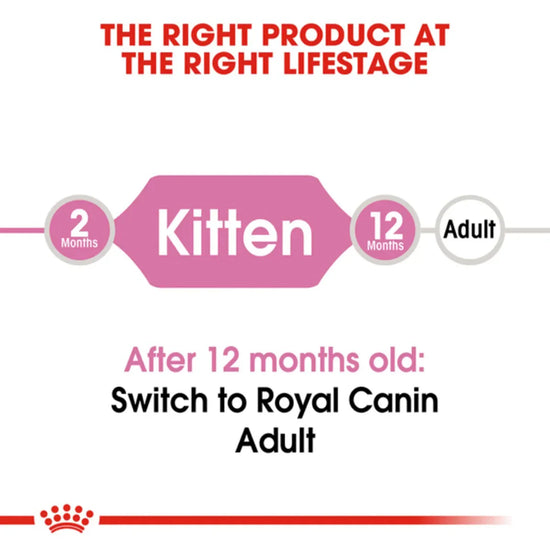 Royal Canin Premium Kitten 36 Dry Cat Food - All Breed - Zigly