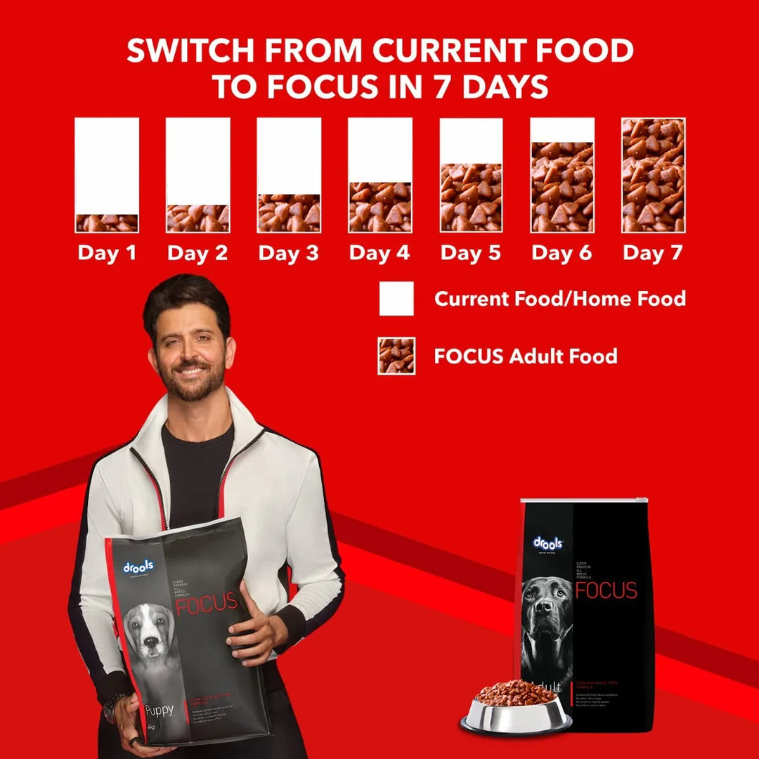 Drools Focus All Breed Adult Dry Dog Food - 12kg - Zigly