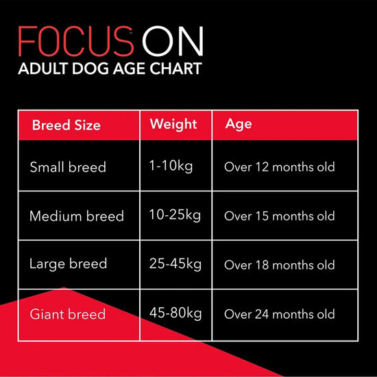 Drools Focus All Breed Adult Dry Dog Food - 12kg - Zigly
