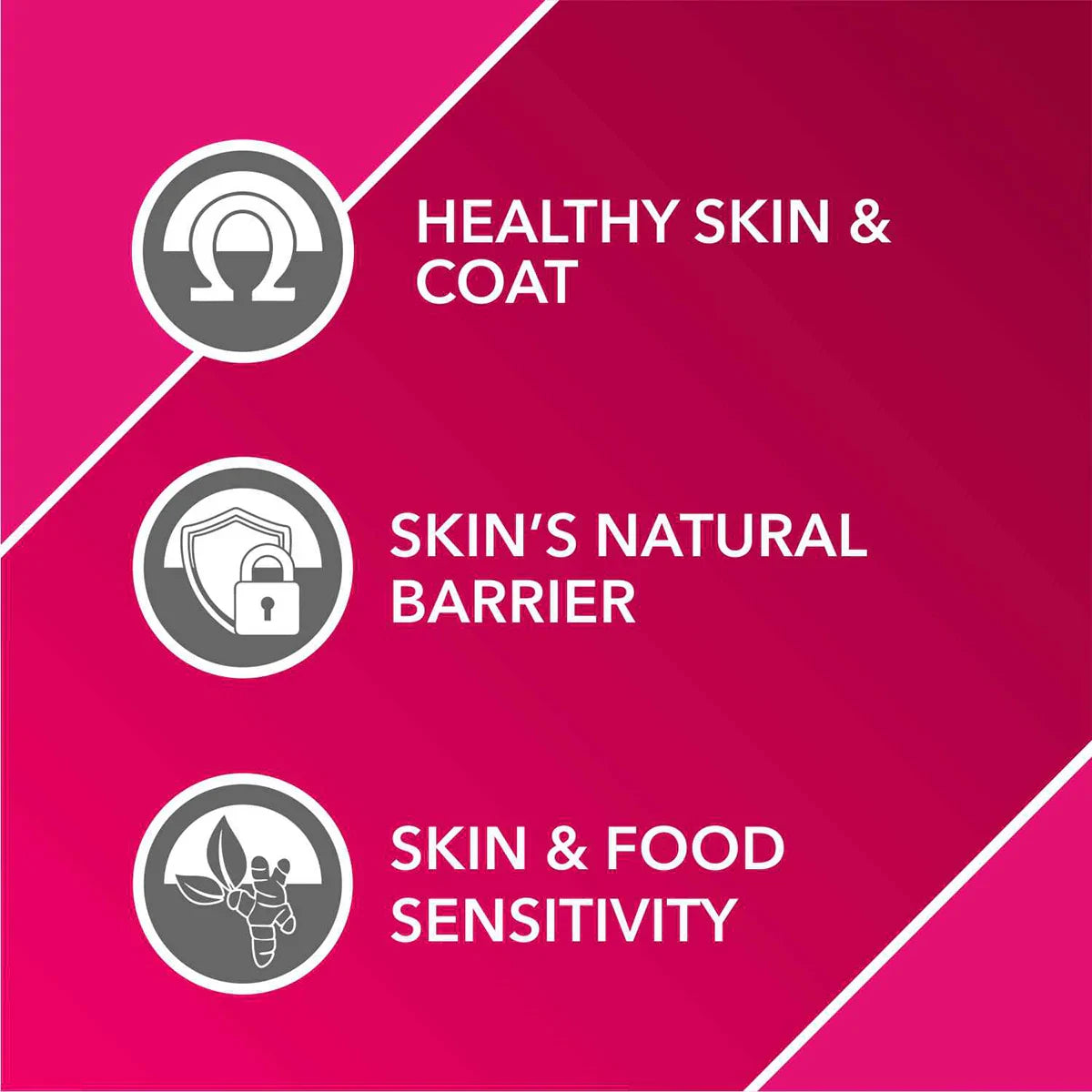 Drools Absolute Skin & Coat Syrup Supplement For Dogs - 300 ml - Zigly