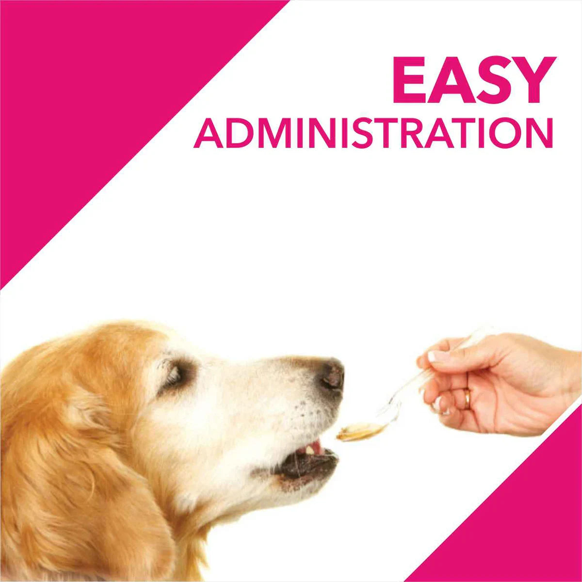 Drools Absolute Skin & Coat Syrup Supplement For Dogs - 300 ml - Zigly