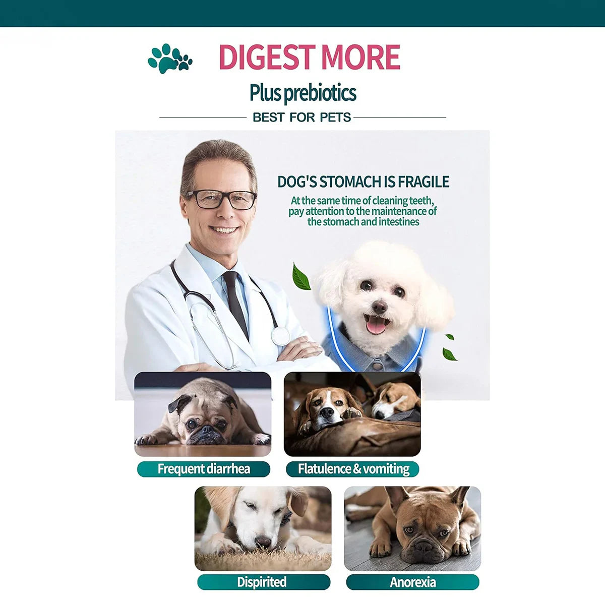 Gnawlers Digest More Plus Prebiotics Dental Dog Treats and Chews - 525g - Zigly