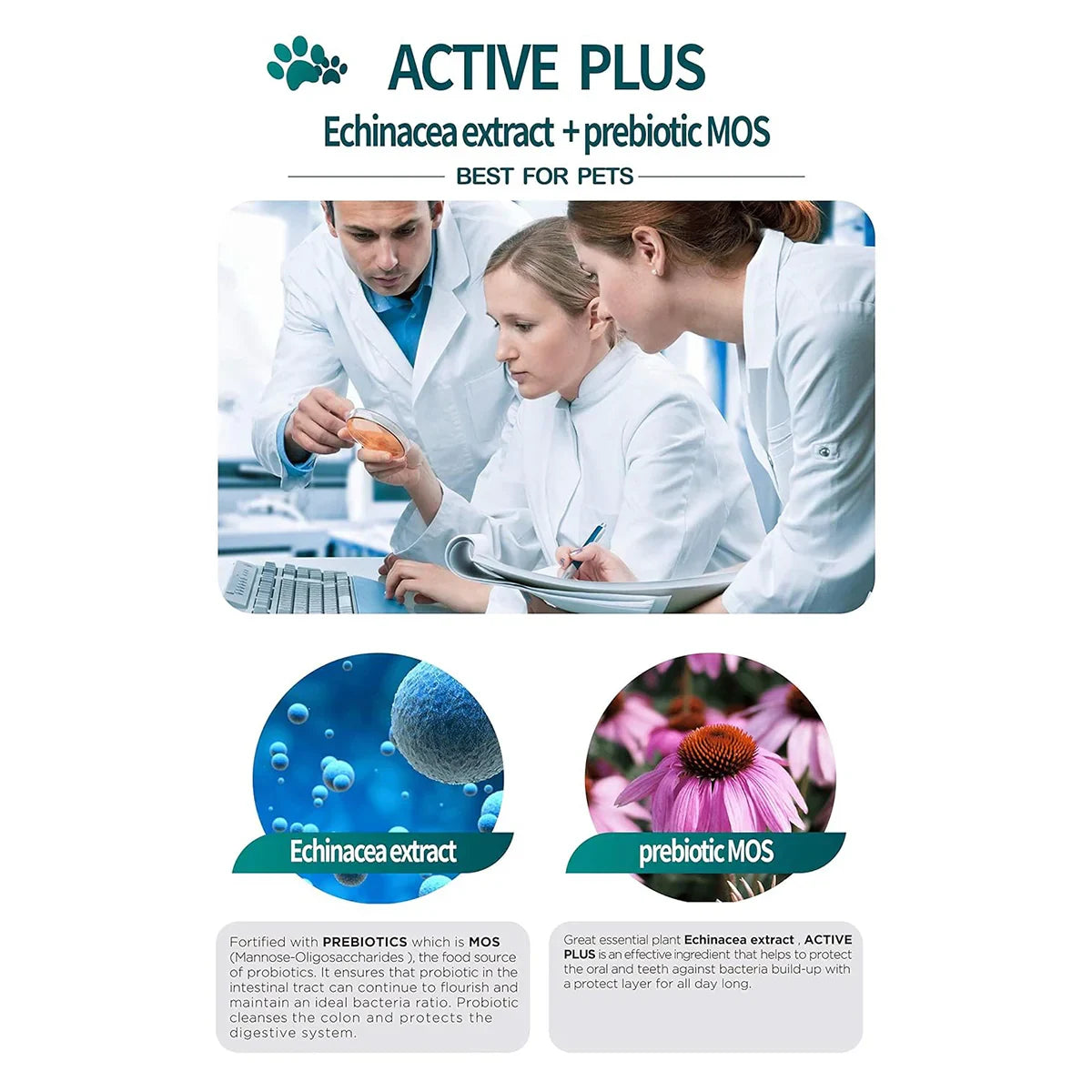 Gnawlers Digest More Plus Prebiotics Dental Dog Treats and Chews - 525g - Zigly