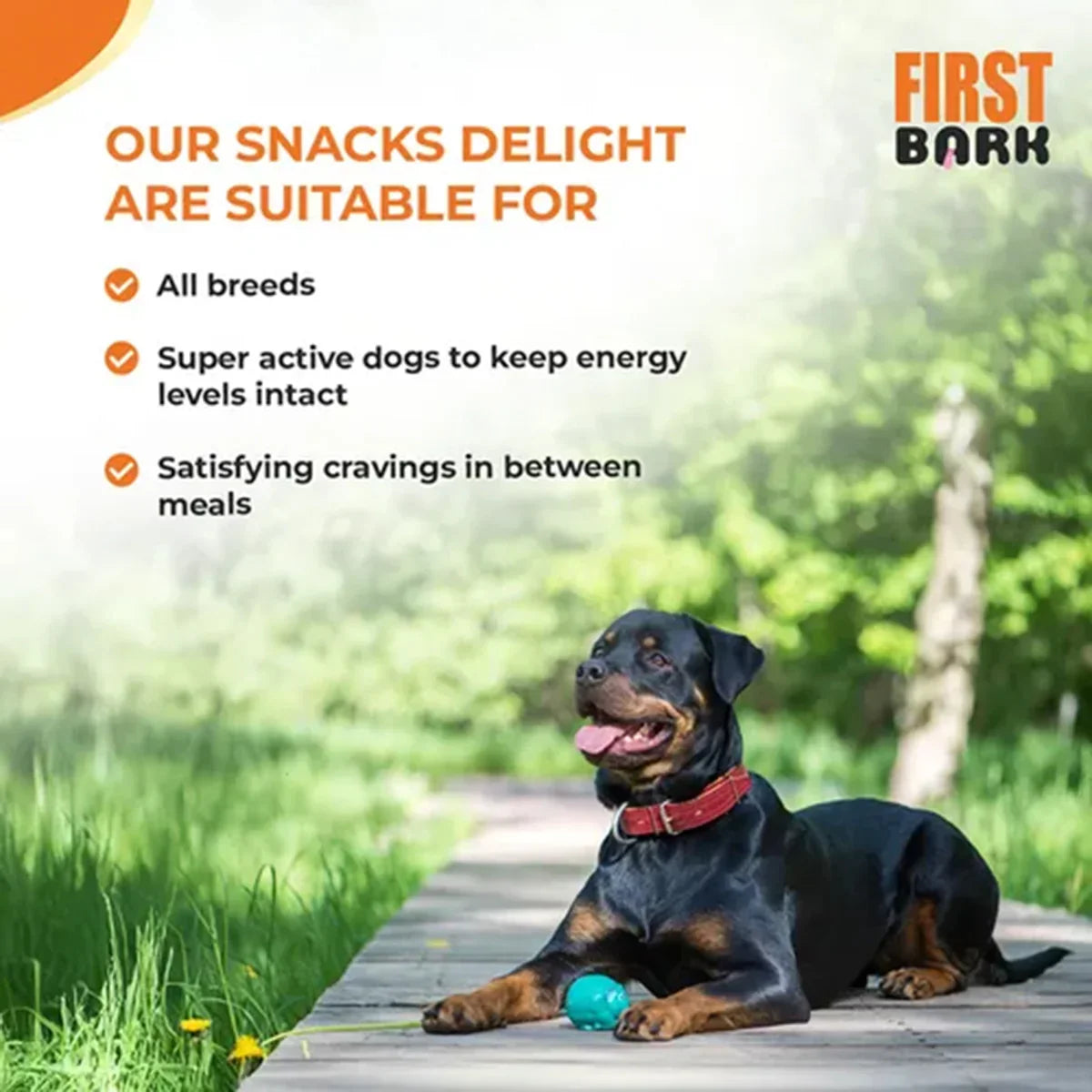 First Bark Soft Chicken Breast Dog Meaty Treat- 70g