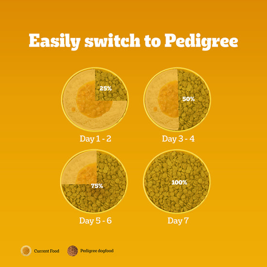 Pedigree Vegetarian Dry Dog Food - All Breed Puppy & Adult - 2.8kg - Zigly