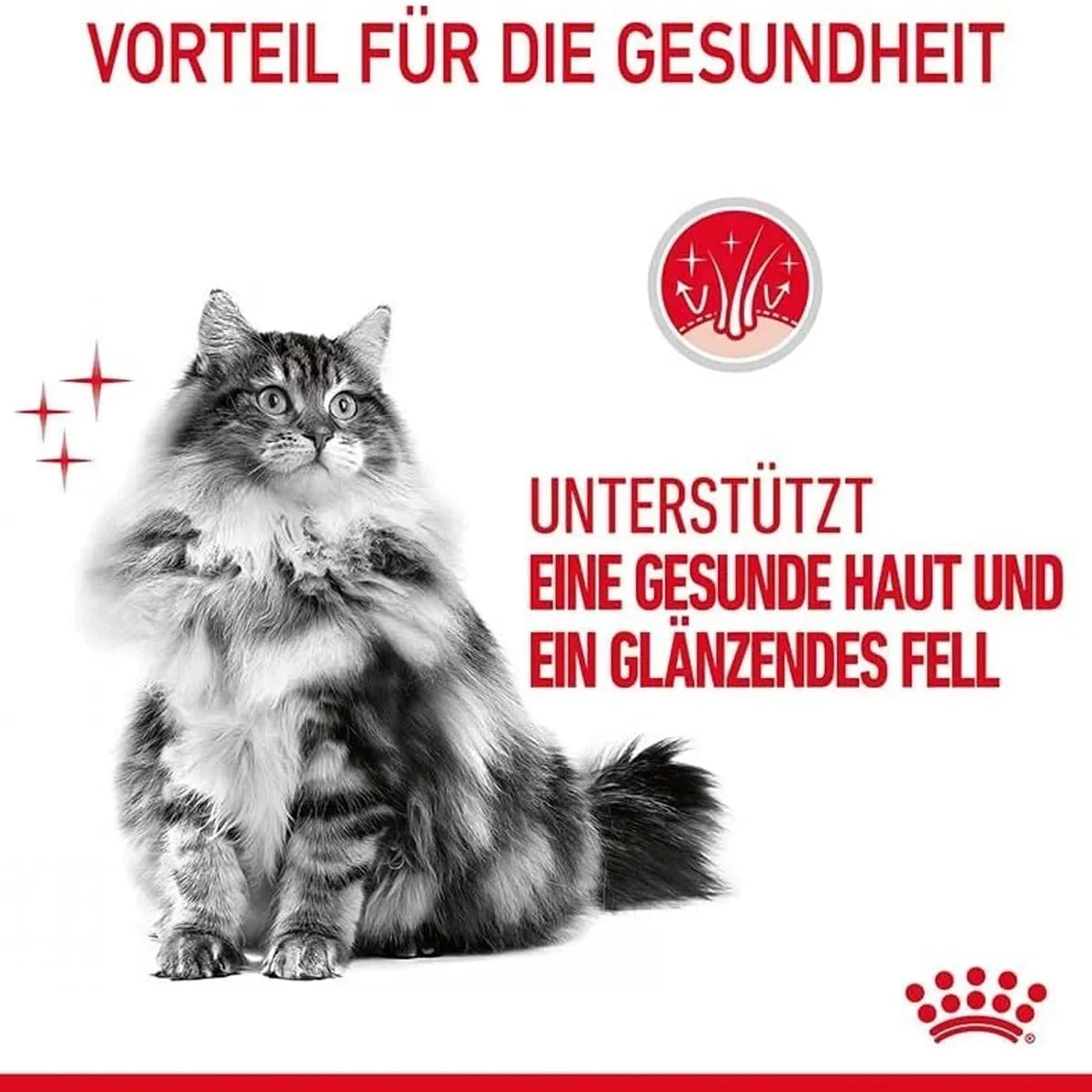 Royal Canin Hair & Skin Wet Cat Food - All Breed Adult - 85g - Zigly