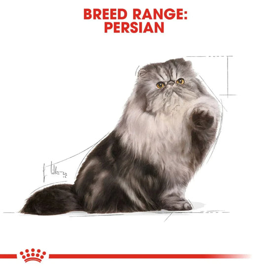 Royal Canin Persian Adult Wet Cat Food - 85g - Zigly