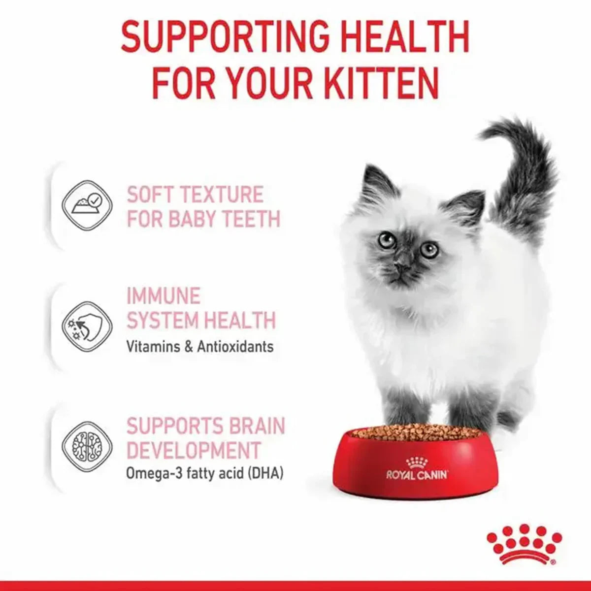 Royal Canin Kitten Instinctive Jelly Wet Cat Food - All Breed - 85g - Zigly