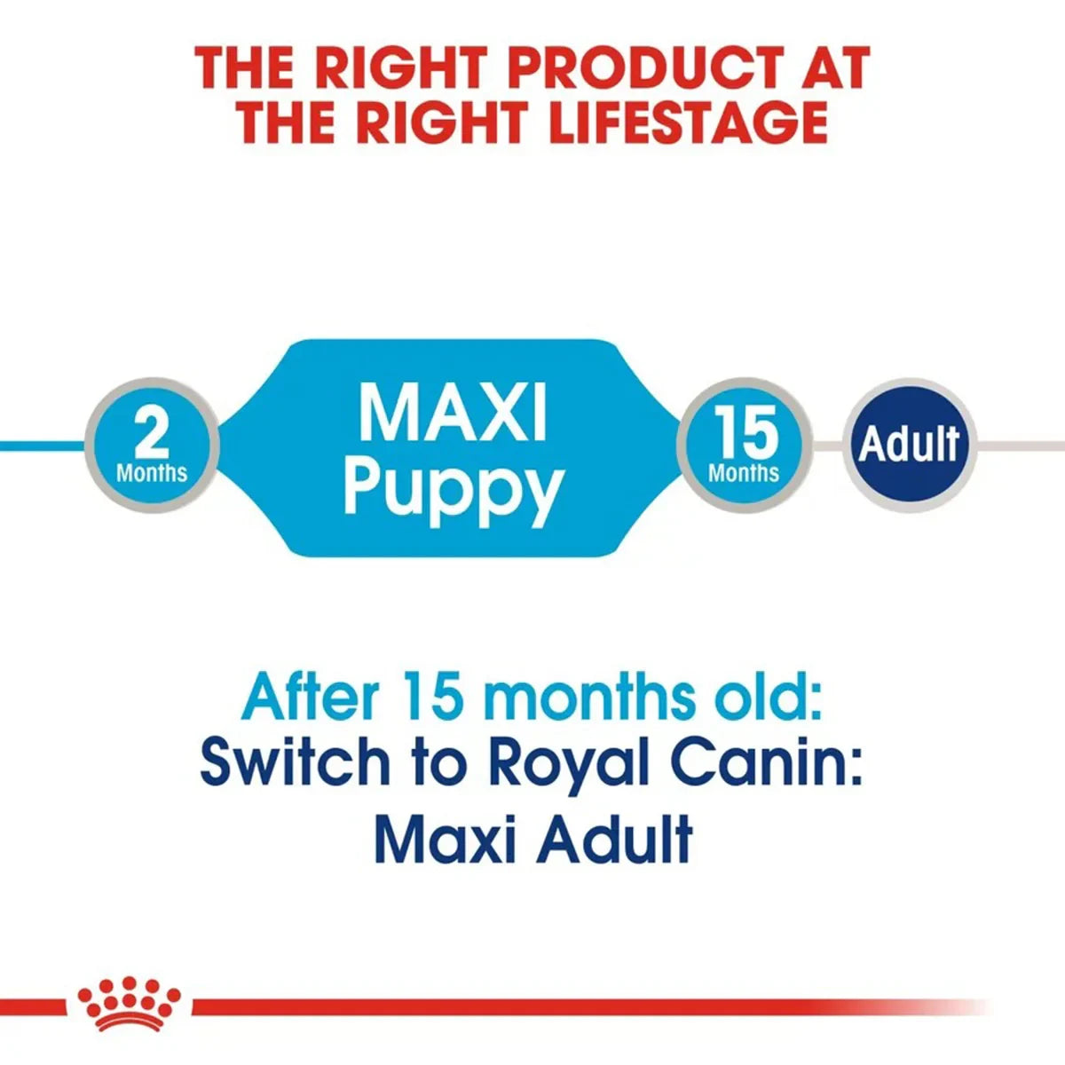 Royal Canin Maxi Puppy Wet Dog Food 140g - Zigly