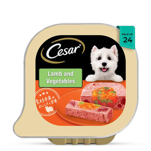 Cesar Gourmet (1+ Years) Lamb & Vegetables Flavour Wet Dog Food - All Breed Adult - 100g - Zigly