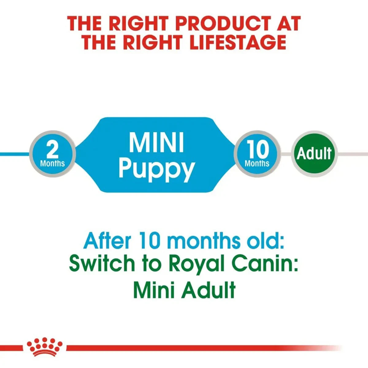Royal Canin Mini Puppy Wet Dog Food - 85g - Zigly