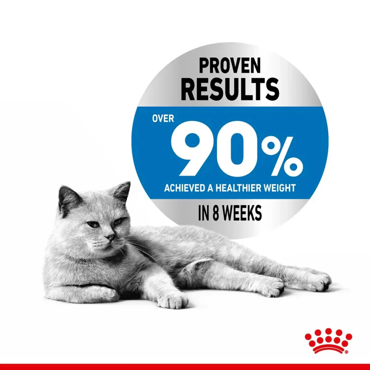 Royal Canin Light Weight Care Wet Cat Food - 85g - Zigly