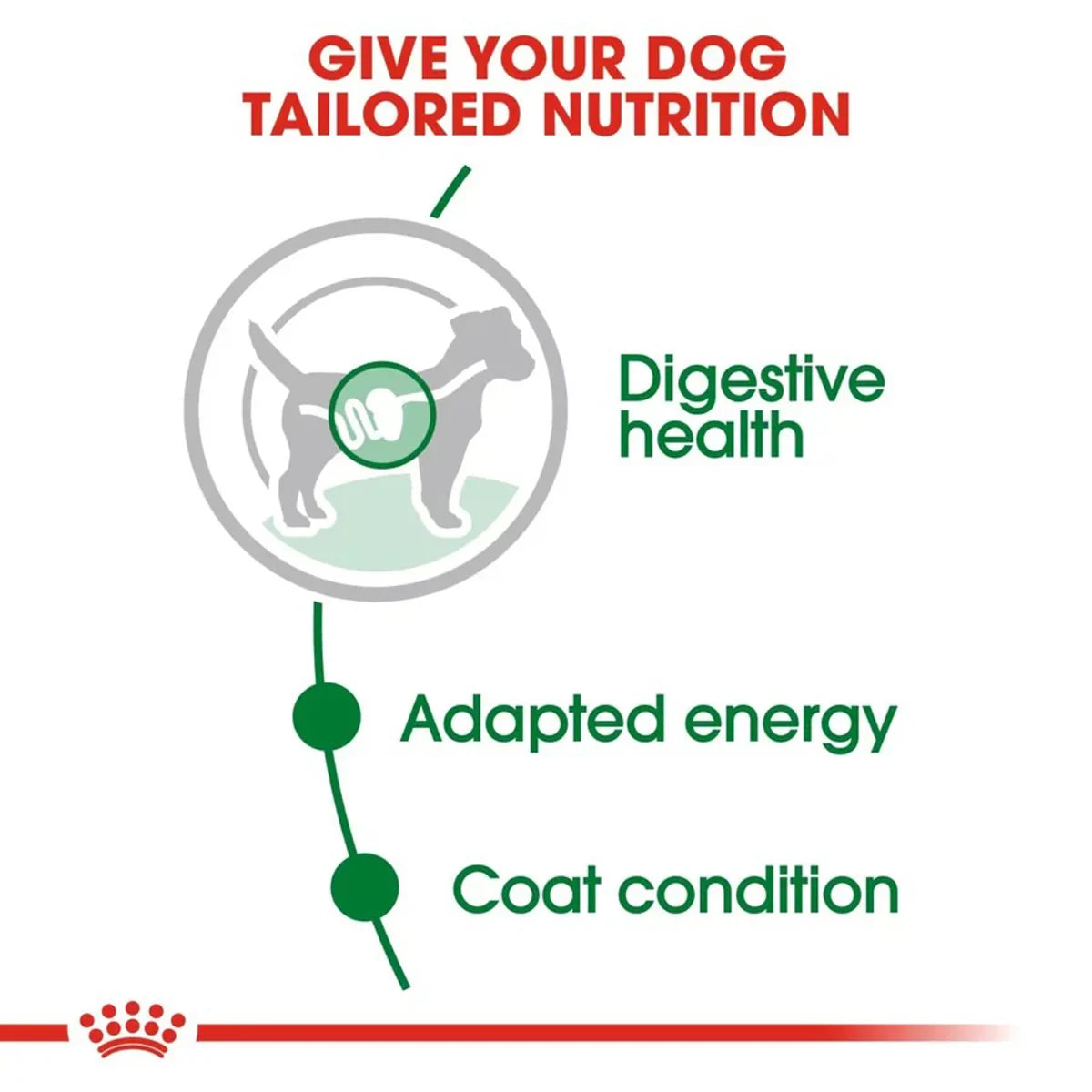 Royal Canin Mini Adult Wet Dog Food - 85g - Zigly