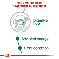 Royal Canin Mini Adult Wet Dog Food - 85g - Zigly