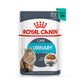 Royal Canin Urinary Care Wet Cat Food - All Breed Adult - 85g - Zigly