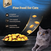 Sheba Irresistible Salmon Kitten and Adult Dry Cat Food - 1.5kg - Zigly