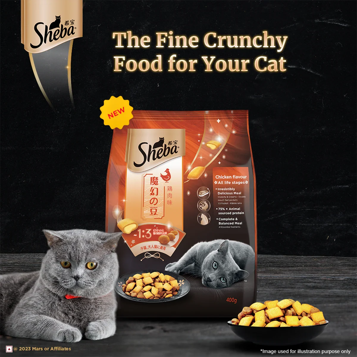 Sheba Irresistible Chicken Kitten and Adult Dry Cat Food - Zigly