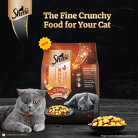Sheba Irresistible Chicken Kitten and Adult Dry Cat Food - Zigly
