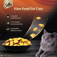 Sheba Irresistible Chicken Kitten and Adult Dry Cat Food - Zigly