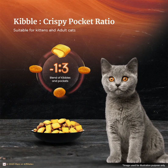 Sheba Irresistible Chicken Kitten and Adult Dry Cat Food - Zigly