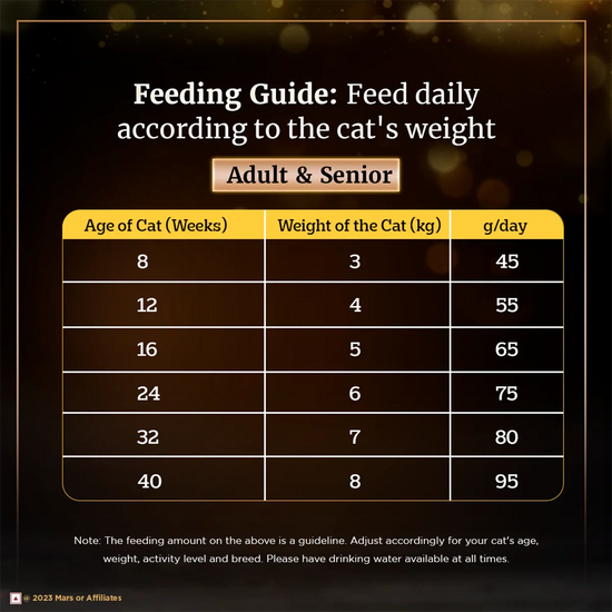 Sheba Irresistible Chicken Kitten and Adult Dry Cat Food - Zigly